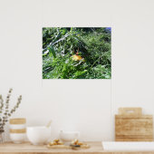 Garden Weeds Choden Garden Poster Print (Küche)