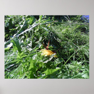 Garden Weeds Choden Garden Poster Print