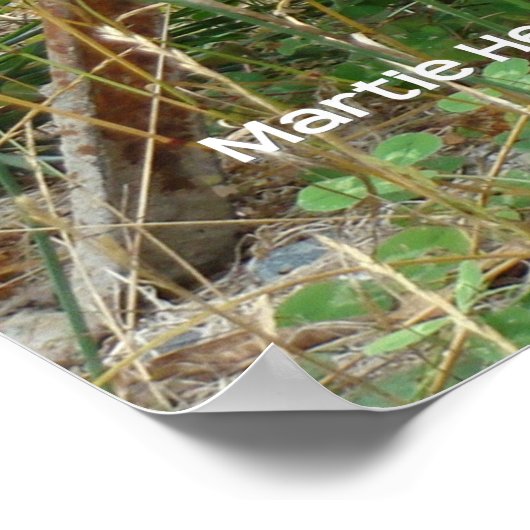 Garden Wheelbarrow Poster (Ecke)