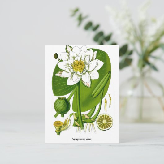 Gardener Postkarte (Stehend Vorderseite)