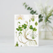 Gardener Postkarte (Stehend Vorderseite)