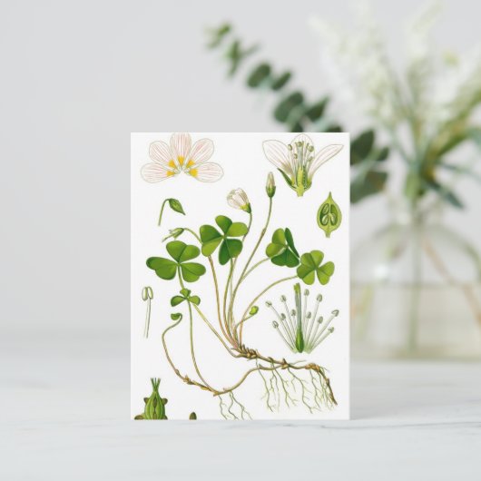 Gardener Postkarte (Stehend Vorderseite)