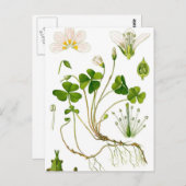 Gardener Postkarte (Vorne/Hinten)