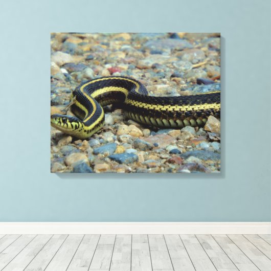 Gardener Snake Leinwanddruck (Insitu (Holzboden))