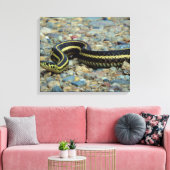Gardener Snake Leinwanddruck (Insitu (Wohnzimmer))
