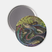 Gardener Snake Study Beyond the Skin Magnet (Vorderseite/Rückseite)