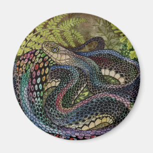 Gardener Snake Study Beyond the Skin Magnet