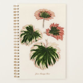 Gardener Special Gift Pflanze Mama Vater Planer