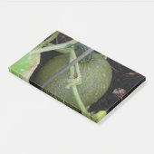 Gardener-Squash Post-it Klebezettel (angewinkelt)