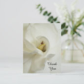 Gardenia Beileid Vielen Dank Postcard Postkarte (Stehend Vorderseite)