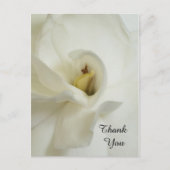 Gardenia Beileid Vielen Dank Postcard Postkarte (Vorderseite)