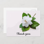 Gardenia Blume Beileid Vielen Dank Postkarte (Vorne/Hinten)