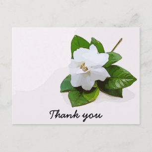Gardenia Blume Beileid Vielen Dank Postkarte