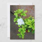 Gardenia Blume Blank Card (Vorderseite)
