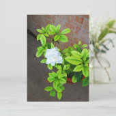 Gardenia Blume Blank Card (Stehend Vorderseite)