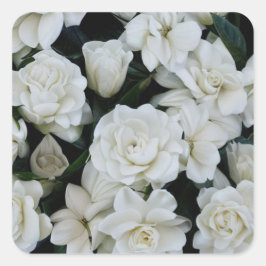 Gardenia Blume Quadratischer Aufkleber