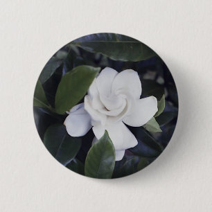 Gardenia Button