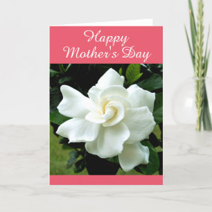 Gardenia Greeting Card Karte