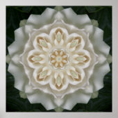 Gardenia Inner Glow Mandala Poster Print (Vorne)