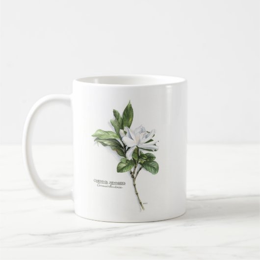 Gardenia Jasminoides (allgemeiner Gardenia) Kaffeetasse (Links)