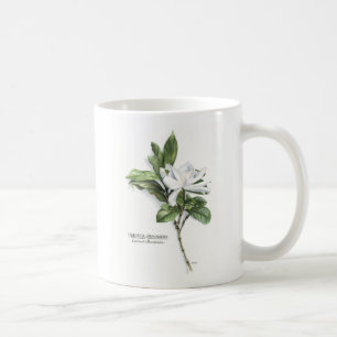 Gardenia Jasminoides (allgemeiner Gardenia) Kaffeetasse