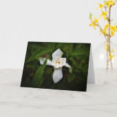 Gardenia, Karte (Gelbe Blume)