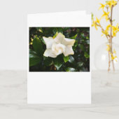 Gardenia, Karte (Gelbe Blume)
