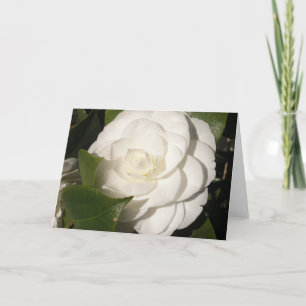 Gardenia Karte