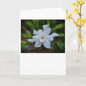 Gardenia, Karte (Gelbe Blume)