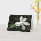 Gardenia, Karte (Gelbe Blume)