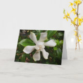 Gardenia, Karte (Gelbe Blume)
