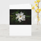 Gardenia, Karte (Gelbe Blume)