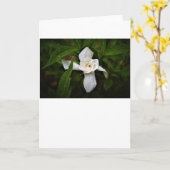 Gardenia, Karte (Gelbe Blume)