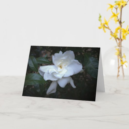 Gardenia, Karte (Gelbe Blume)