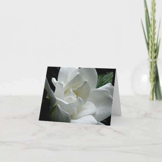 Gardenia Karte (Vorderseite)