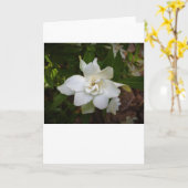 Gardenia, Karte (Gelbe Blume)
