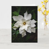 Gardenia, Karte (Gelbe Blume)