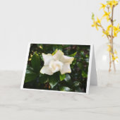 Gardenia, Karte (Gelbe Blume)