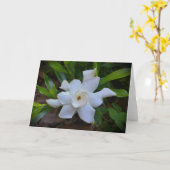 Gardenia, Karte (Gelbe Blume)