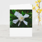 Gardenia, Karte (Gelbe Blume)