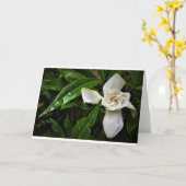 Gardenia, Karte (Gelbe Blume)