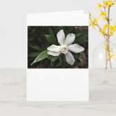 Gardenia, Karte (Gelbe Blume)