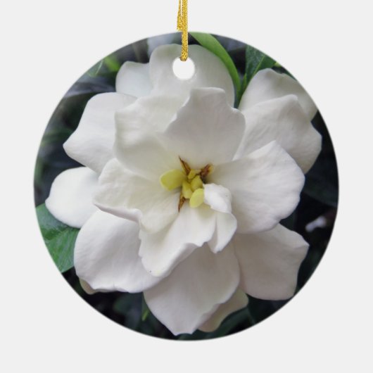 Gardenia Keramik Ornament (Hinten)