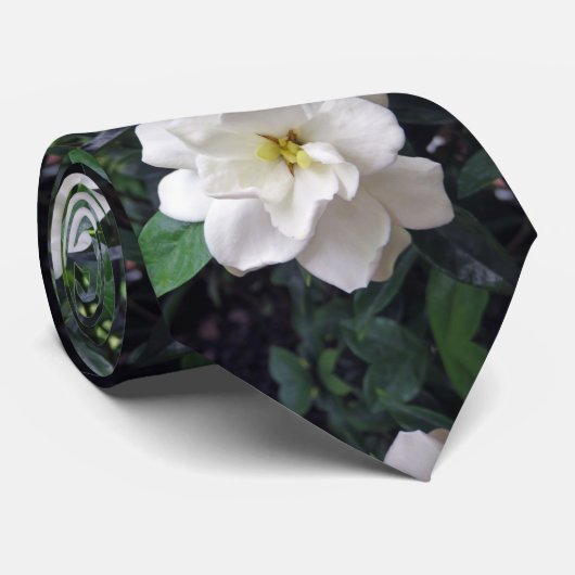 Gardenia Krawatte (Gerollt)