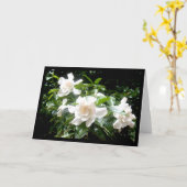 Gardenia, leere Karte (Gelbe Blume)