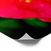 Gardenia Liebe Poster (Ecke)