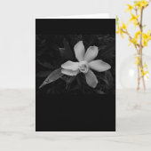 Gardenia - noir, card karte (Gelbe Blume)