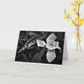 Gardenia - Noir, Karte (Gelbe Blume)