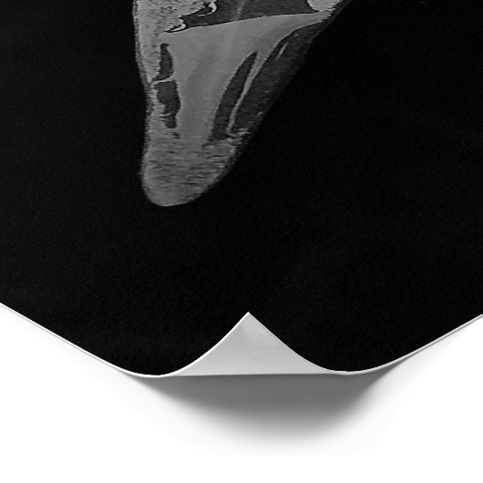 Gardenia - noir poster (Ecke)