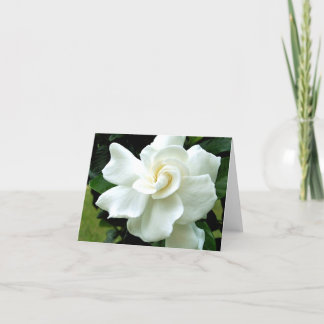 Gardenia Note Card Karte